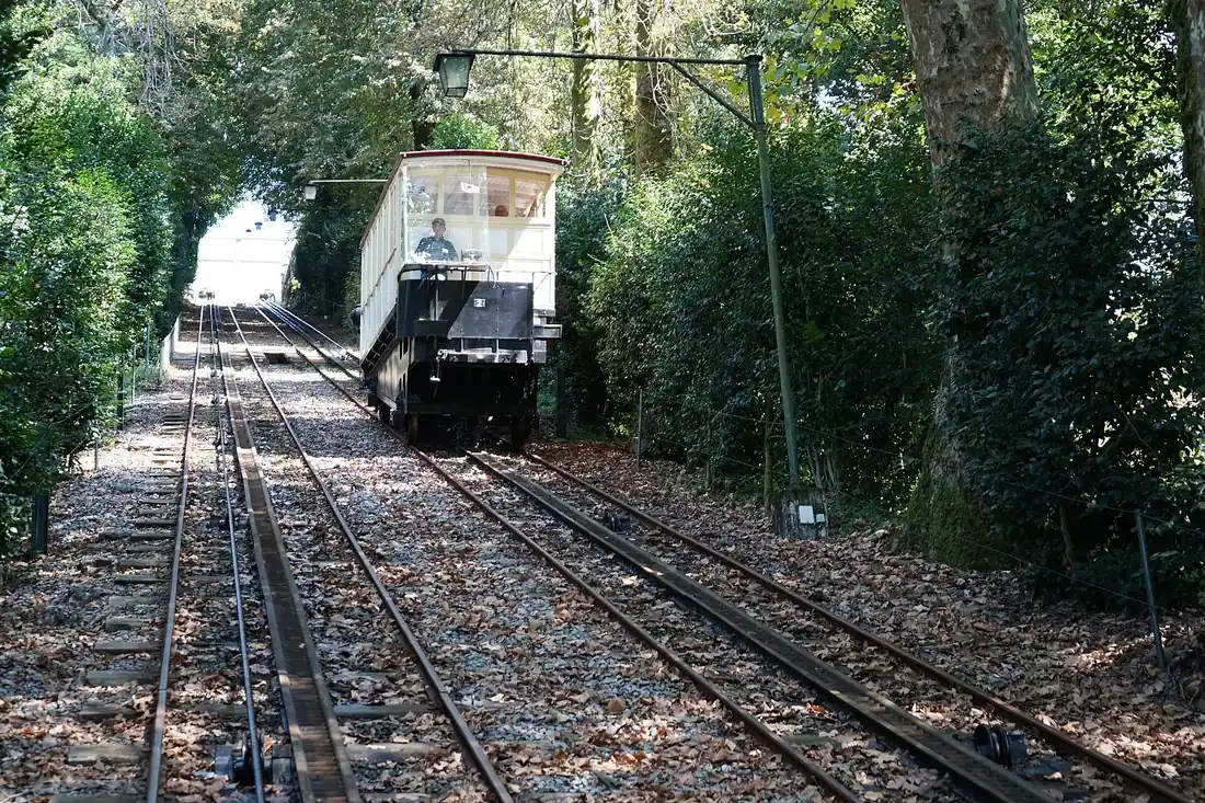 Un funicular ascendiendo por su vía arbolada entre las dos estaciones